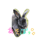 Lovely Lune 2（個別スタンプ：8）
