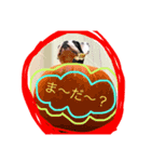 フレンチブルのエルビス（個別スタンプ：1）