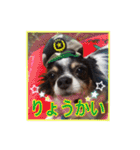 パピヨン犬いつも仲良しパピパピ部フレンズ（個別スタンプ：26）