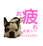 不二子と仲間たち（個別スタンプ：3）