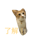 れもんとすだち（個別スタンプ：2）