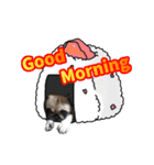 pug_poco（個別スタンプ：1）
