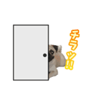 pug_poco（個別スタンプ：15）