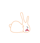 bunny lucu（個別スタンプ：5）