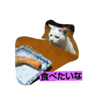 ぽっちゃんのかわいいスタンプ！！！（個別スタンプ：14）