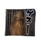 デグーのボタパキ2（個別スタンプ：23）