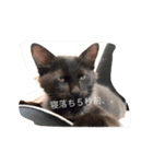 The 森家（個別スタンプ：6）