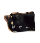 The 森家（個別スタンプ：7）