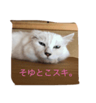The 森家（個別スタンプ：9）