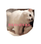The 森家（個別スタンプ：11）