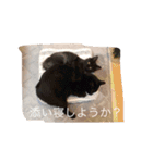 The 森家（個別スタンプ：14）