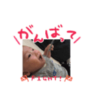 パパへ送信（個別スタンプ：4）
