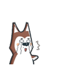 Pica Long and Lat2（個別スタンプ：28）