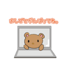 豆くまの日常スタンプ（個別スタンプ：29）
