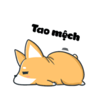 Lat Vang（個別スタンプ：10）