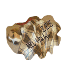 ビーグル犬 こたろう（個別スタンプ：4）