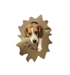 ビーグル犬 こたろう（個別スタンプ：7）