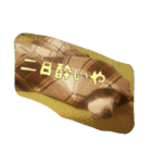 ビーグル犬 こたろう（個別スタンプ：16）