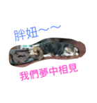 Stupid face and fat girl（個別スタンプ：5）