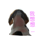 Stupid face and fat girl（個別スタンプ：8）