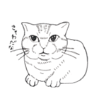 washiratonucosan（個別スタンプ：9）