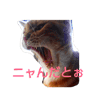 ゆずと仲間たち2（個別スタンプ：4）
