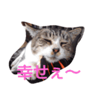 ゆずと仲間たち2（個別スタンプ：6）