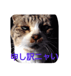 ゆずと仲間たち2（個別スタンプ：9）