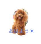 のあのひとりごとパート2（個別スタンプ：3）