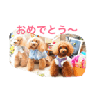 のあのひとりごとパート2（個別スタンプ：6）