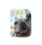 八太郎の“今日もやったろー！”（個別スタンプ：1）