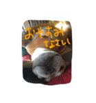 八太郎の“今日もやったろー！”（個別スタンプ：2）