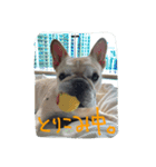 八太郎の“今日もやったろー！”（個別スタンプ：5）