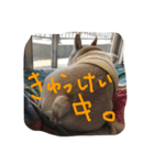 八太郎の“今日もやったろー！”（個別スタンプ：6）