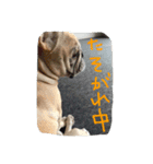 八太郎の“今日もやったろー！”（個別スタンプ：7）