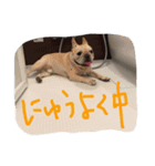 八太郎の“今日もやったろー！”（個別スタンプ：8）