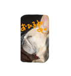 八太郎の“今日もやったろー！”（個別スタンプ：9）