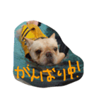 八太郎の“今日もやったろー！”（個別スタンプ：10）