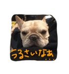 八太郎の“今日もやったろー！”（個別スタンプ：12）