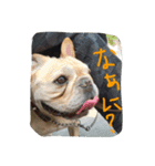 八太郎の“今日もやったろー！”（個別スタンプ：13）