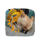 八太郎の“今日もやったろー！”（個別スタンプ：18）