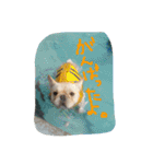 八太郎の“今日もやったろー！”（個別スタンプ：20）