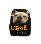 八太郎の“今日もやったろー！”（個別スタンプ：22）