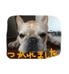 八太郎の“今日もやったろー！”（個別スタンプ：23）