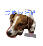 世奈LOVE（個別スタンプ：7）