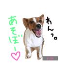 世奈LOVE（個別スタンプ：10）