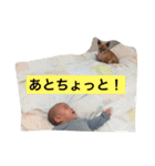 KO's  sticker（個別スタンプ：19）