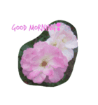 Hello roses（個別スタンプ：2）
