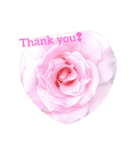 Hello roses（個別スタンプ：6）