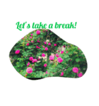 Hello roses（個別スタンプ：8）